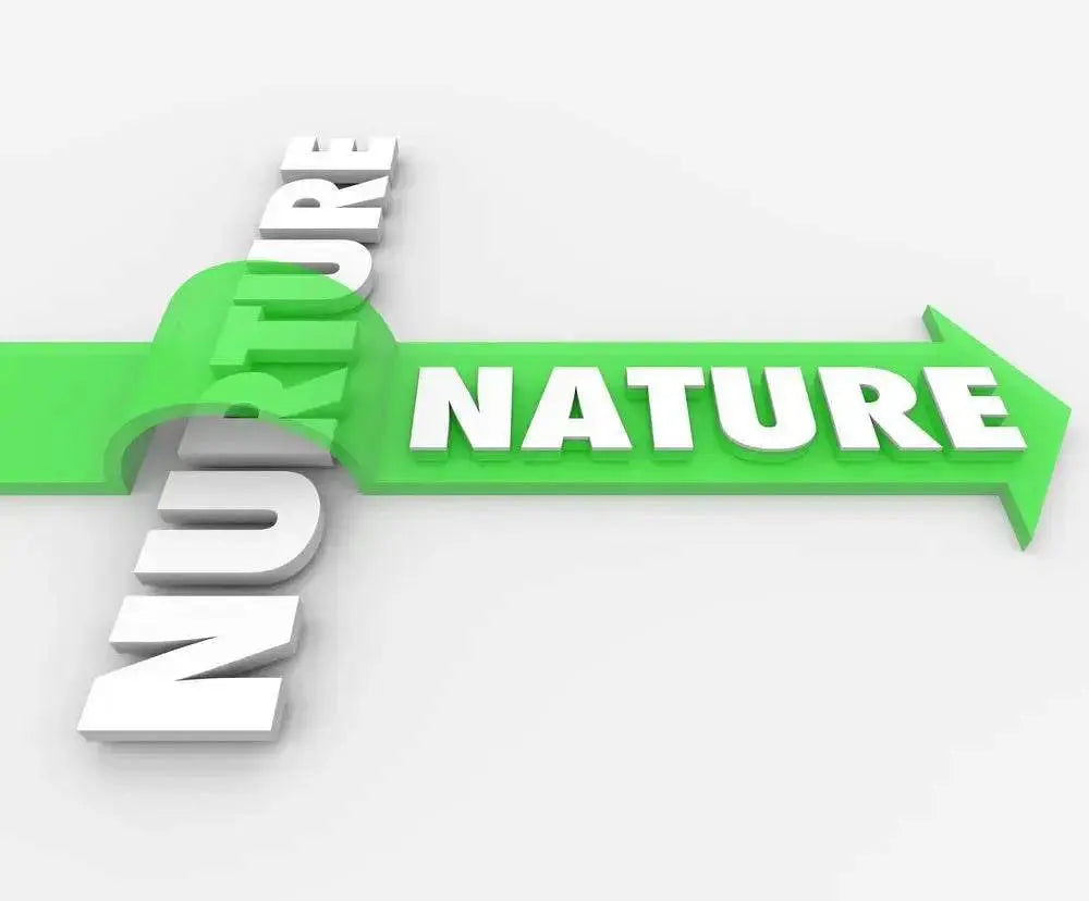 Nature or Nurture - Julian Jay Hair Care